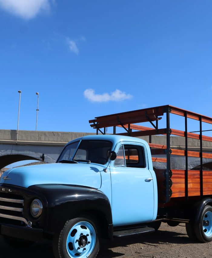 WhatsApp Image 2025-12-10 at 09.02.39