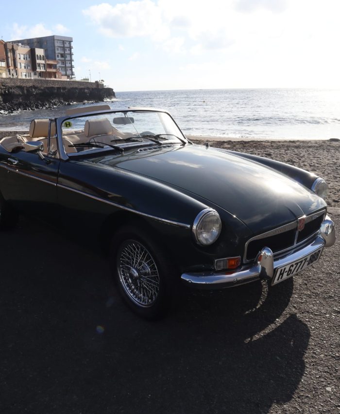 WhatsApp Image 2025-12-10 at 09.02.44 (1)