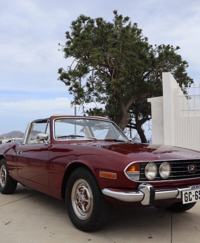 WhatsApp Image 2025-12-10 at 09.02.55